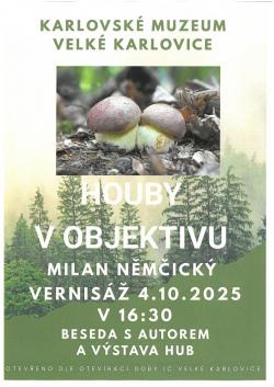 Vstava Houby v objektivu 4.10.2025 v 16.30 hod